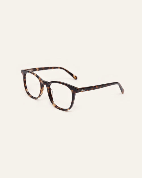 Zoey Amber Turtle Readers, three quarter