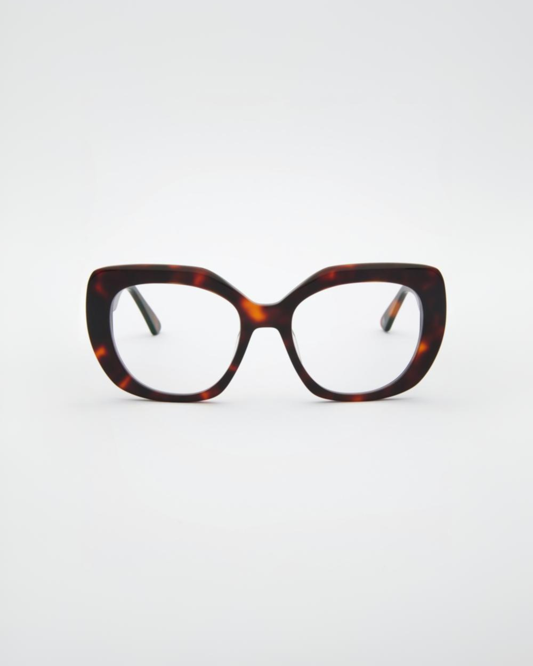 Jessica Turtle Brown Blue Light