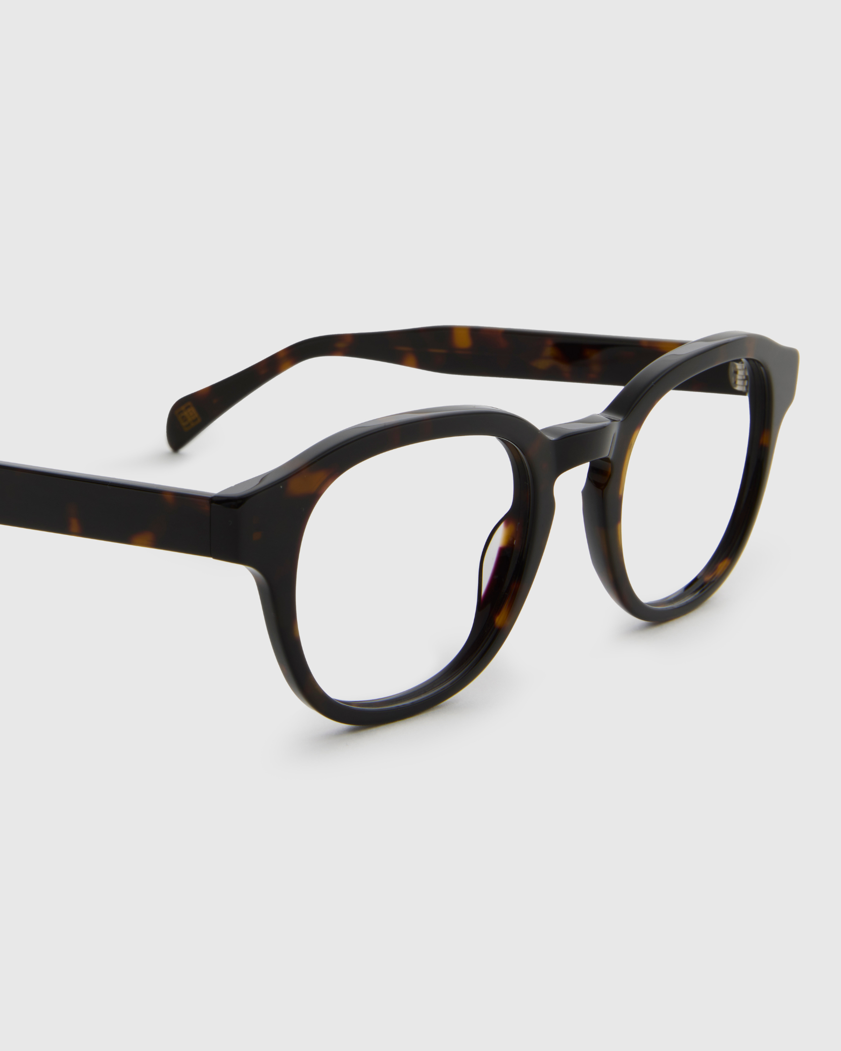 Liam Turtle Brown Readers