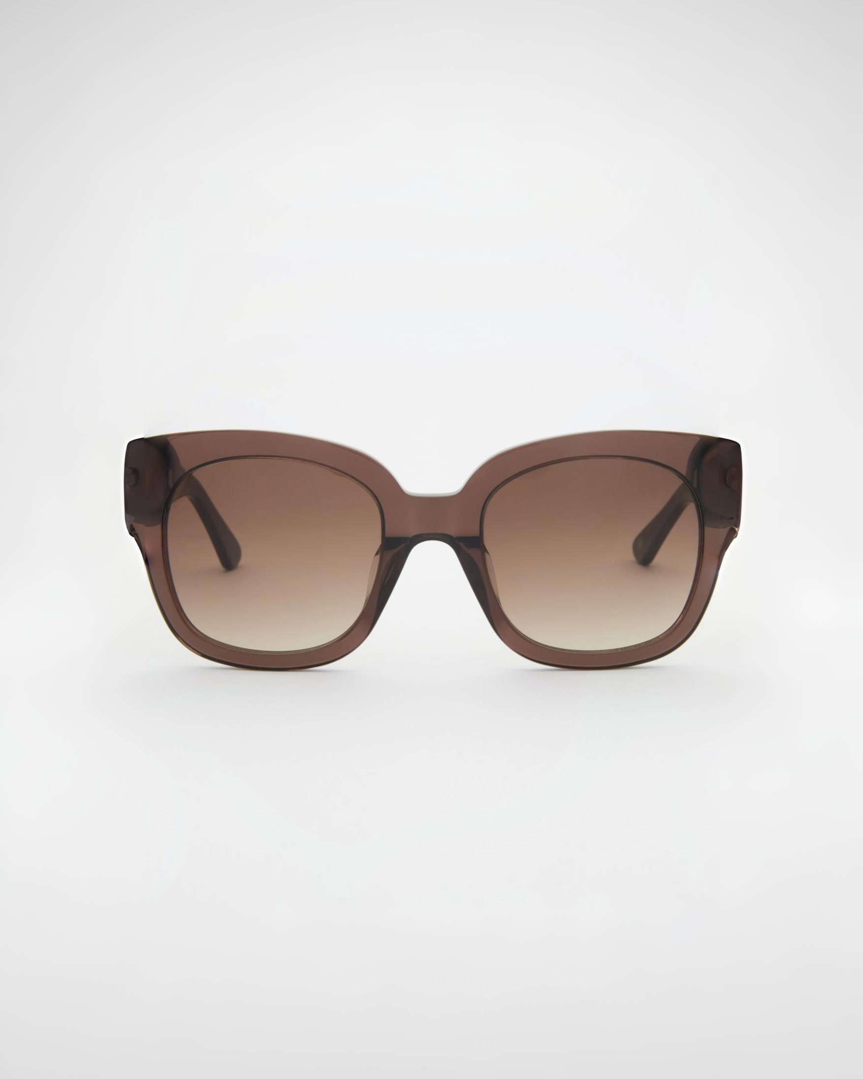 Chloe Chocolate Sunglasses